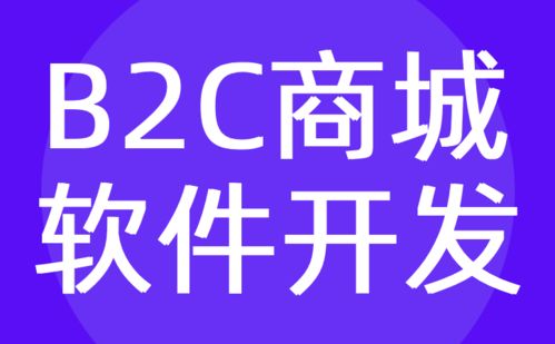 B2C商城软件开发 B2C购物电商软件定制公司 红匣子科技